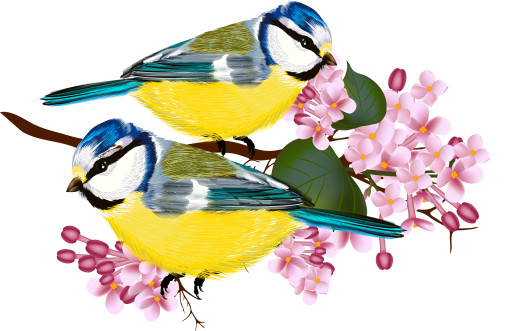 833590 (a): :3000x1908